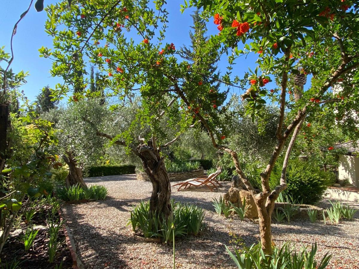 Beautiful Country House Near Ronda Arriate Exterior foto