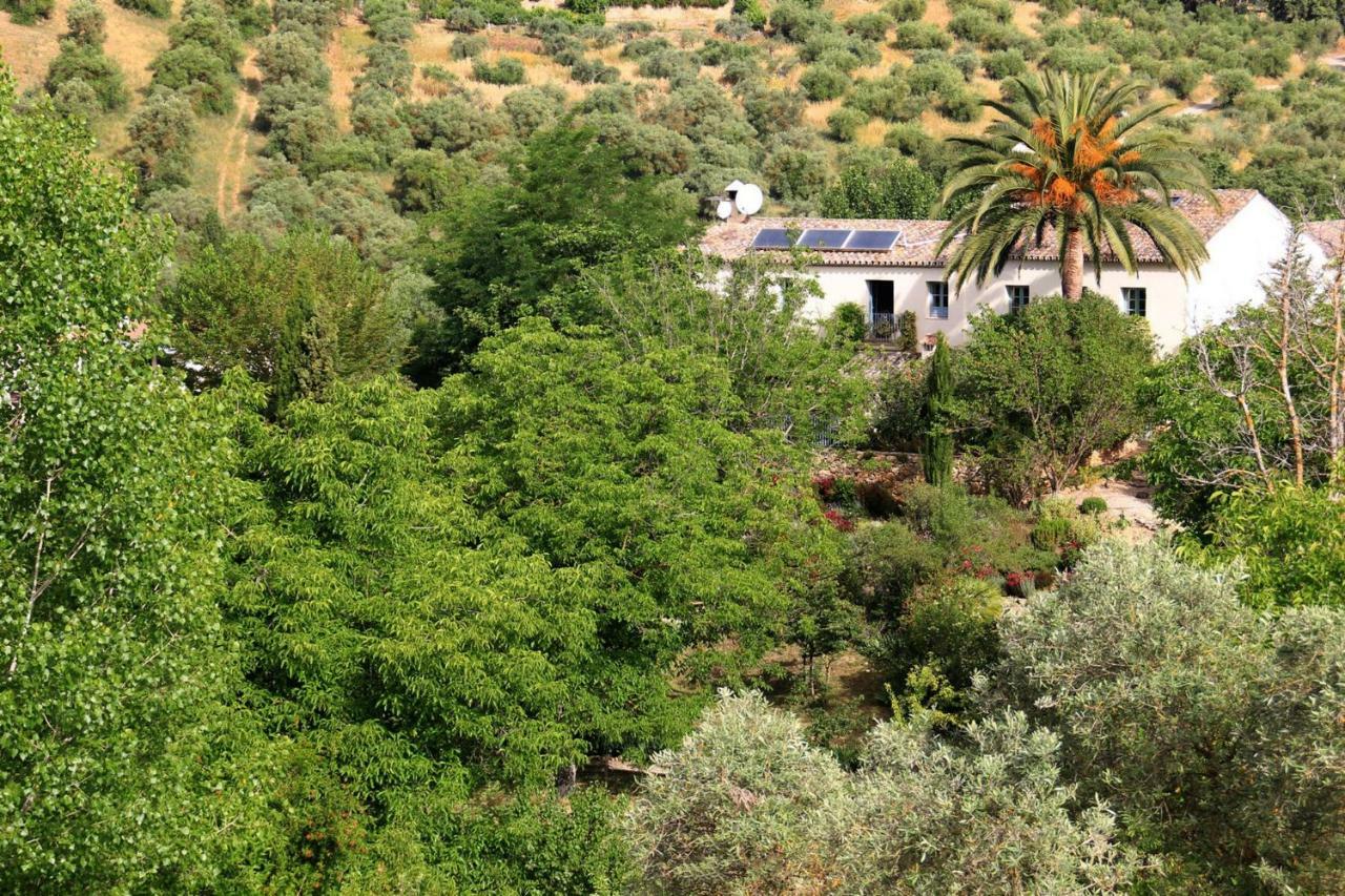 Beautiful Country House Near Ronda Arriate Exterior foto
